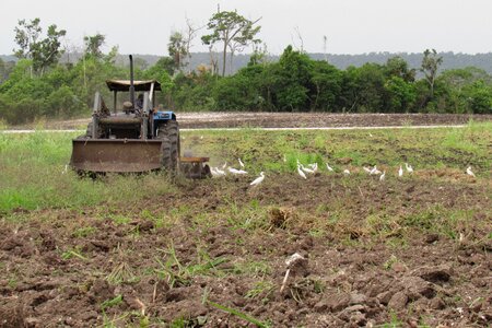 Nature field tractor