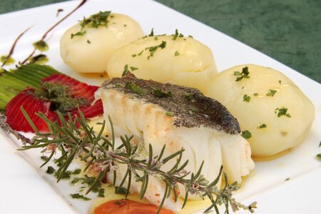 Dish gourmet dinner
