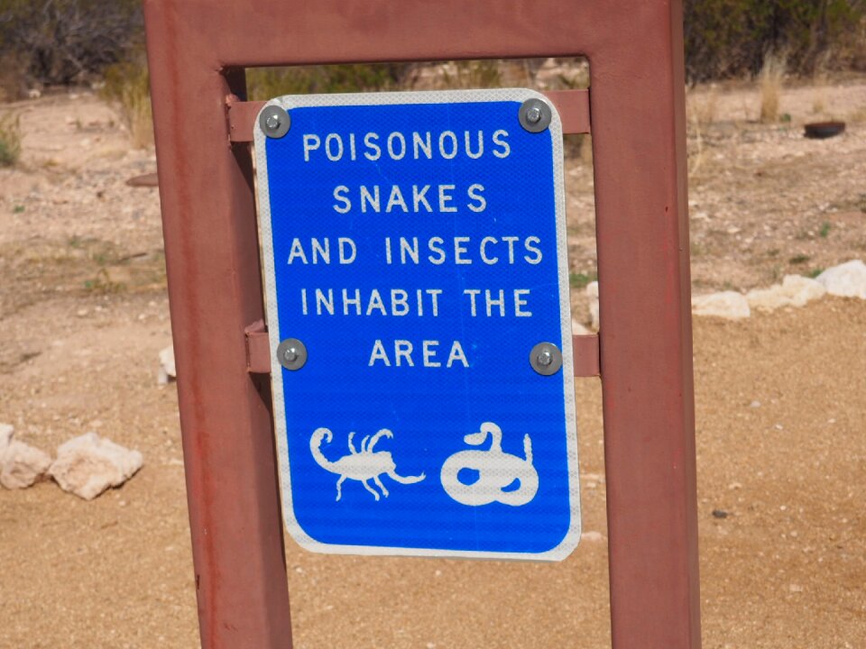 Sign poison reptile