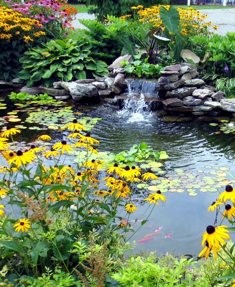 Flora water
