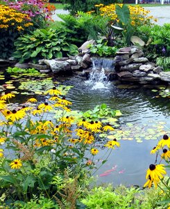 Flora water