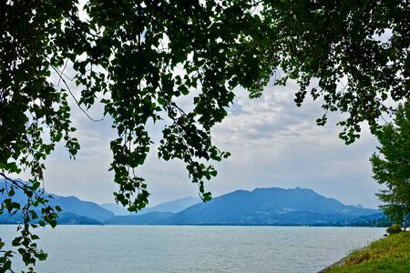 Nature panoramic backdrop