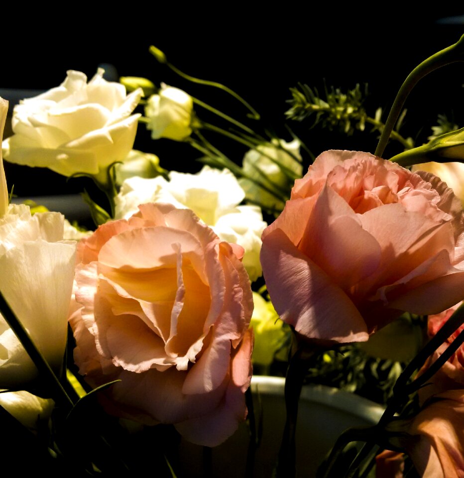Romance nature