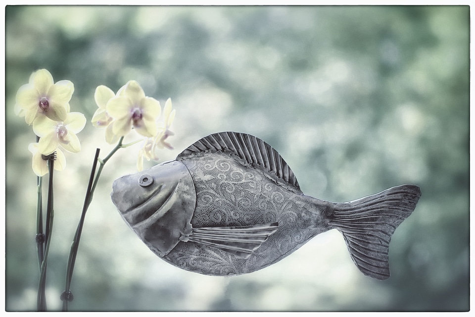 Swim flower swimmer