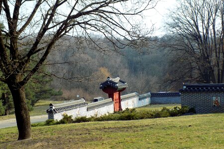 Landscape outdoors park