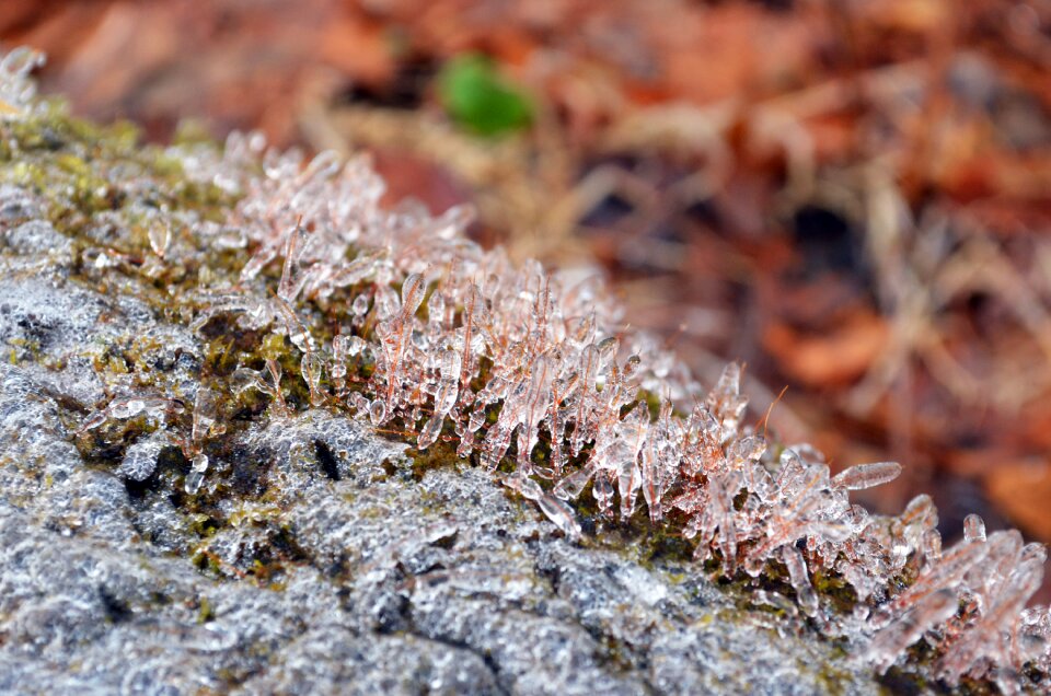 Winter frost frozen