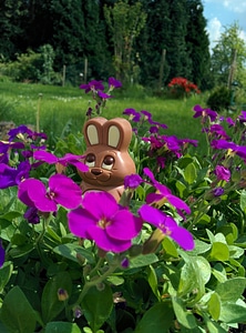Hare chocolate hide