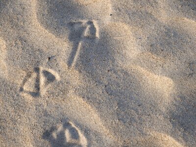 Texture beach traces