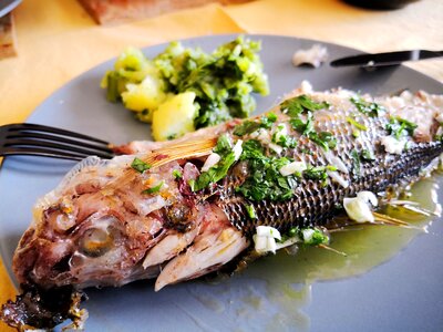 Meat dinner fish