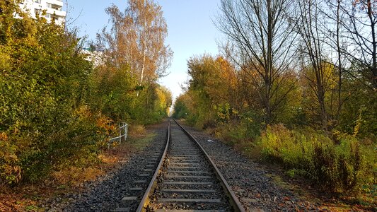 Race track road nature