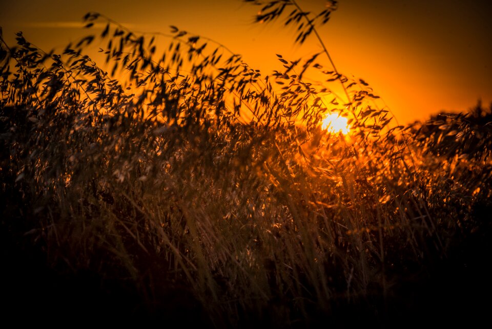 Sunset dusk Free photos