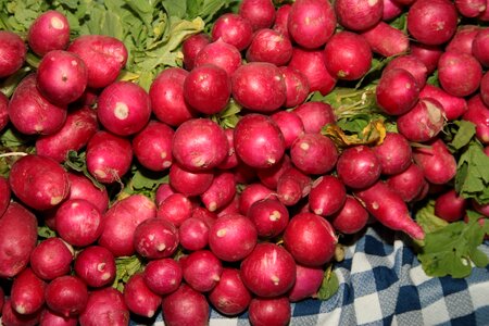 Vegetable market fruit photo