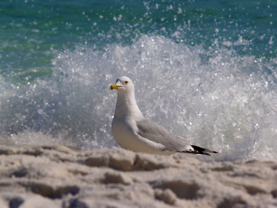Outdoors water beach