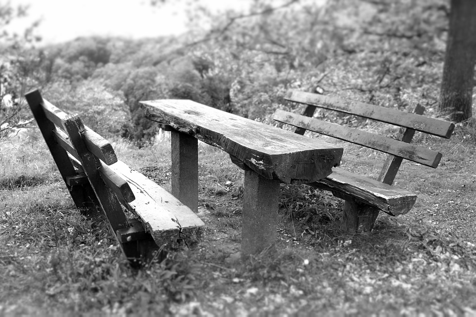 Park benches seasons