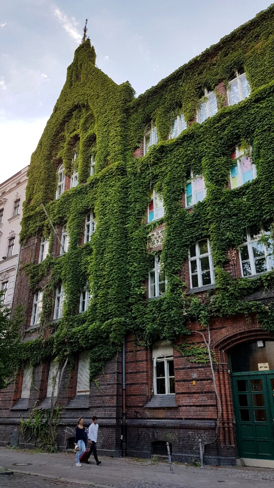 Building window facade greening photo