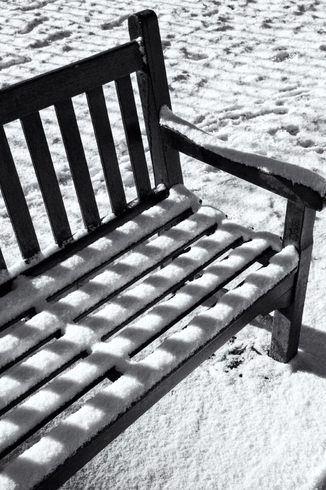 Nature season sun