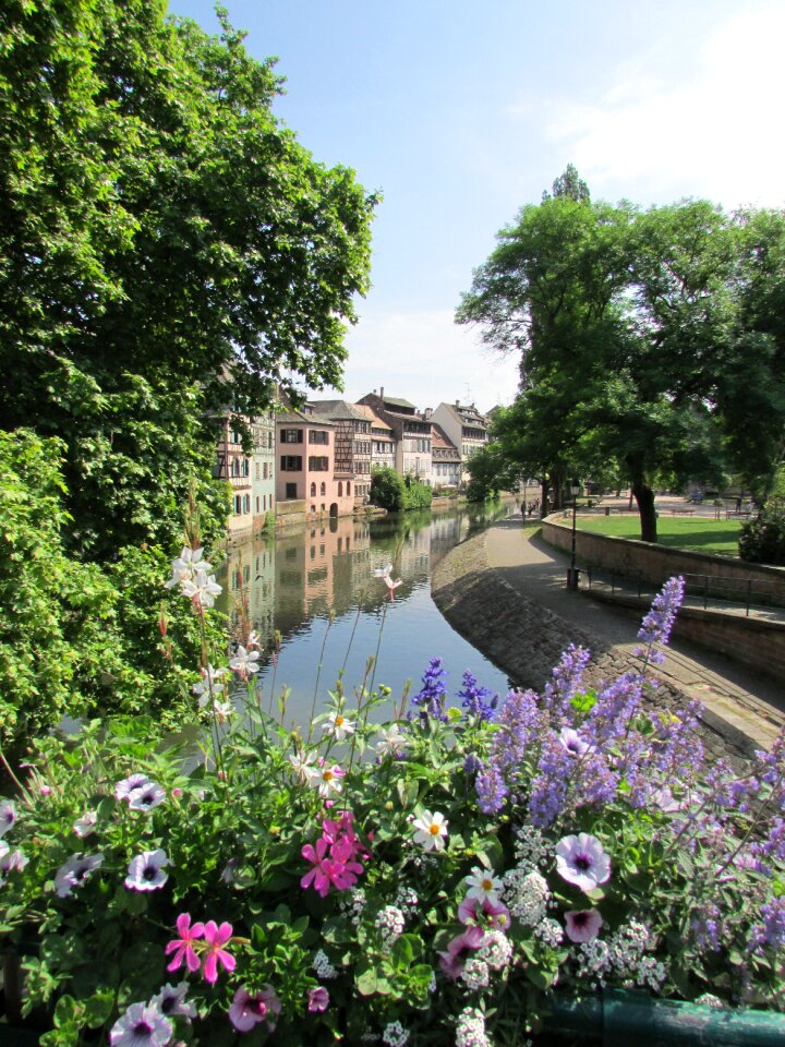 Nature summer petit france
