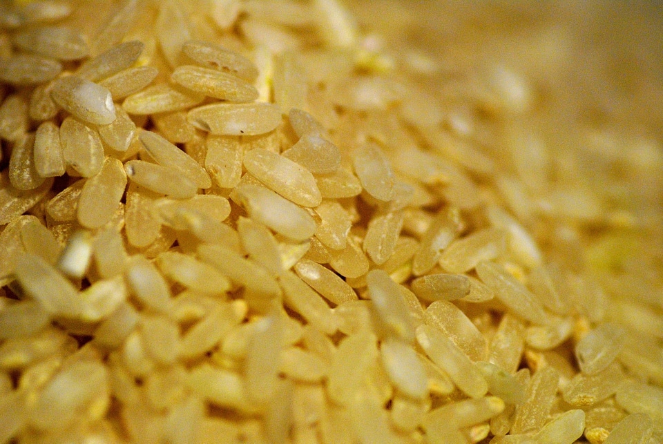 Edible yellow brown