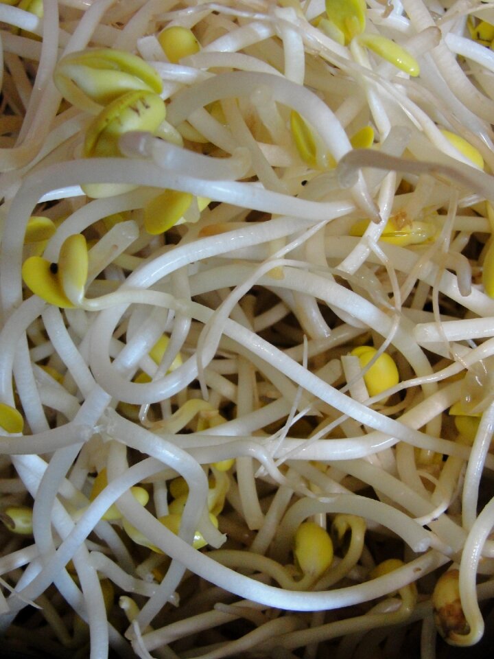 Vegetable culinary art soy
