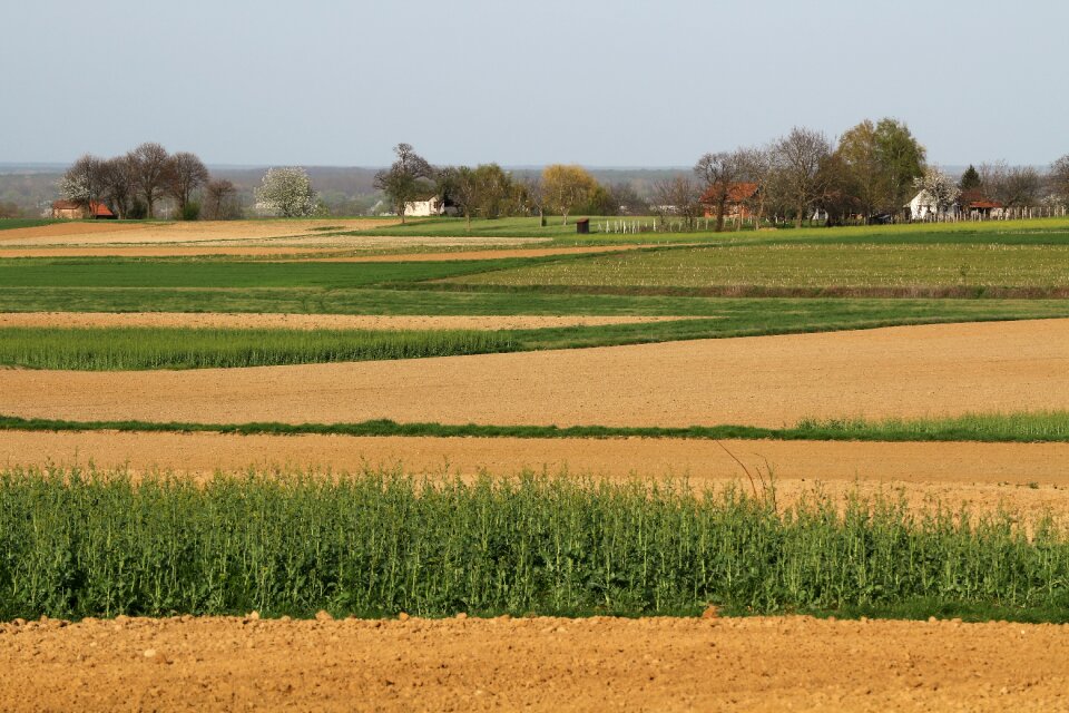 Agriculture landscape farm