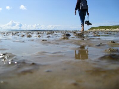 Wadden sea mudflat hiking north sea photo