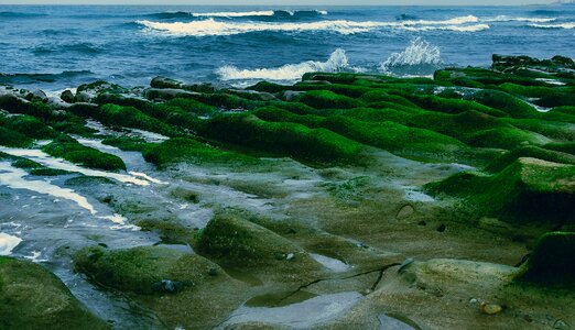 Landscape seashore ocean photo