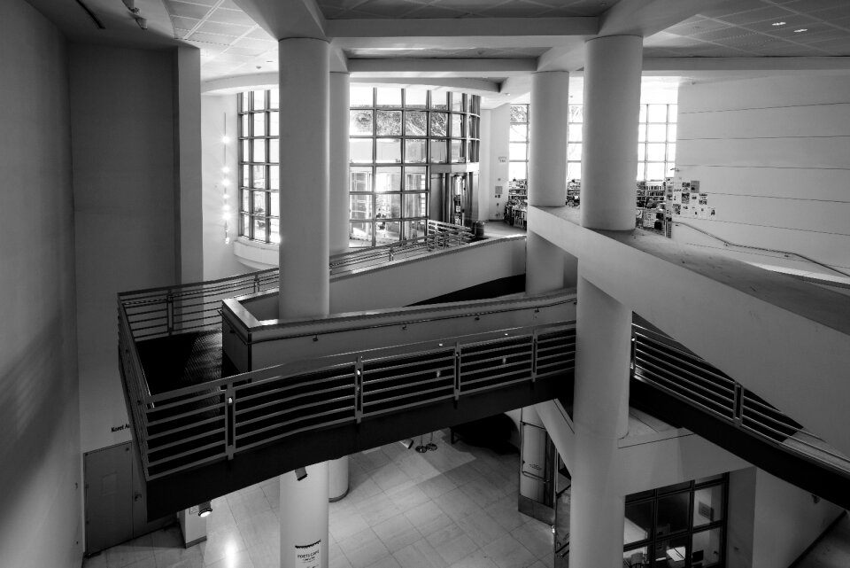 Window architecture gray room