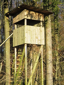 Hunter was hunter forests