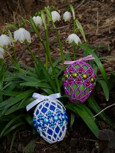 The tradition of spring color eggs photo