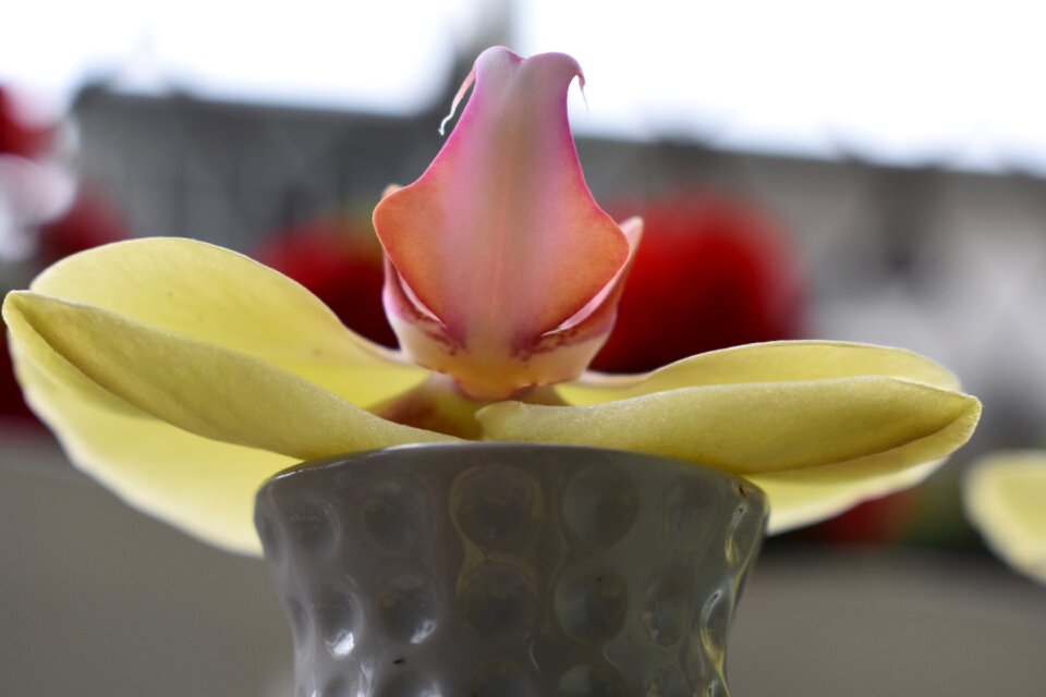 Meditation decoration
