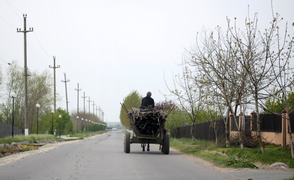 Street village horse