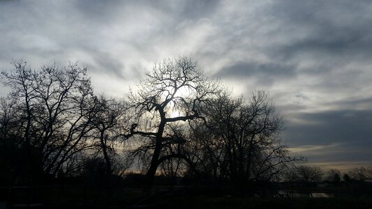 Dawn fog