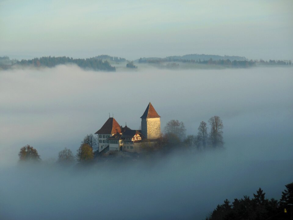 Fog dawn landscape