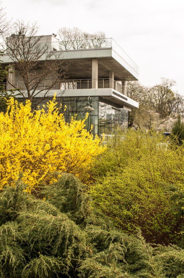 Season house plant