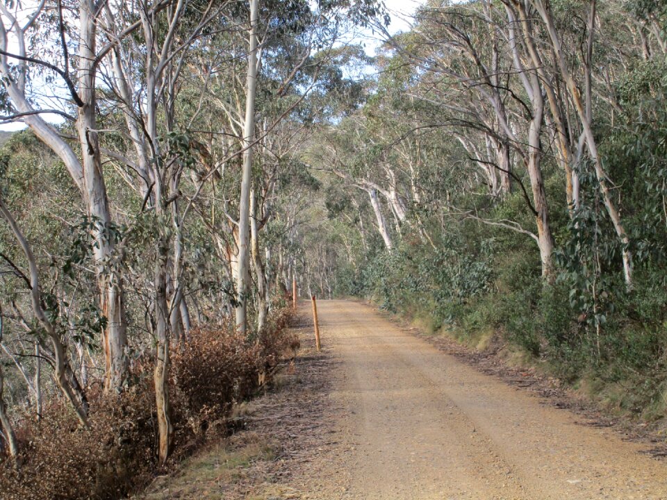 Landscape road australia