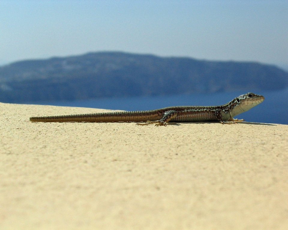 Greece santorini sea