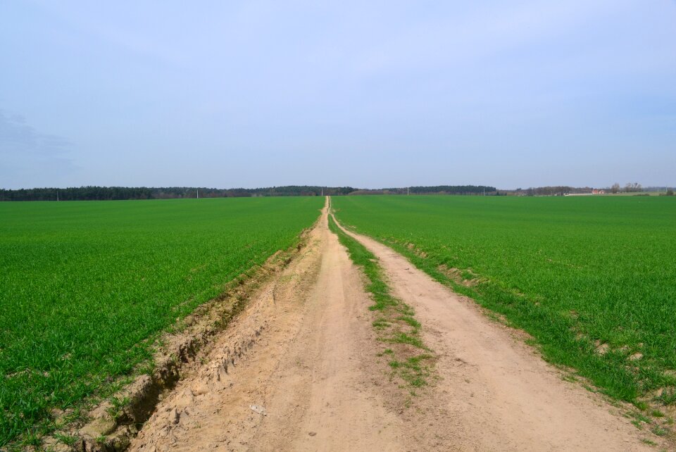 Landscape field lane