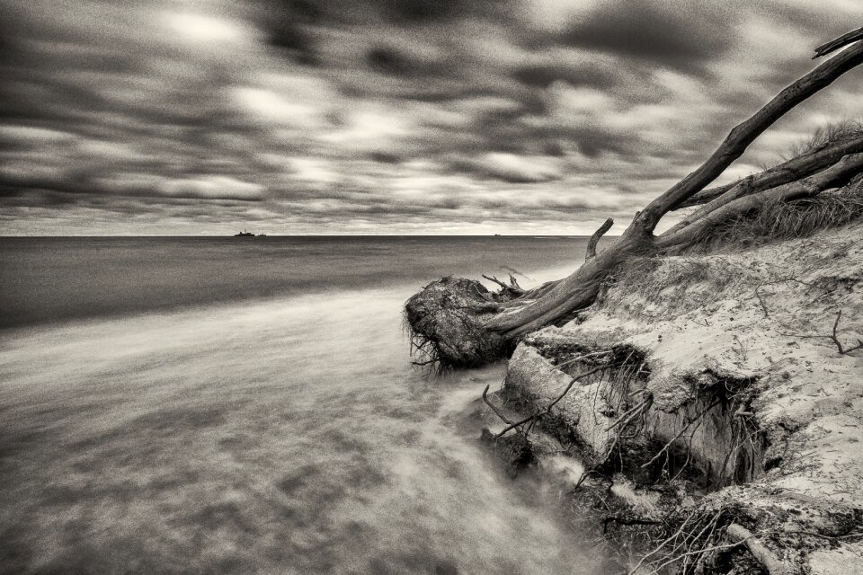 Coast beach sea