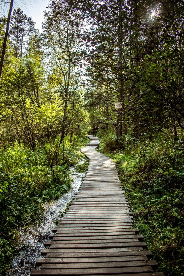 Direction landscape the way