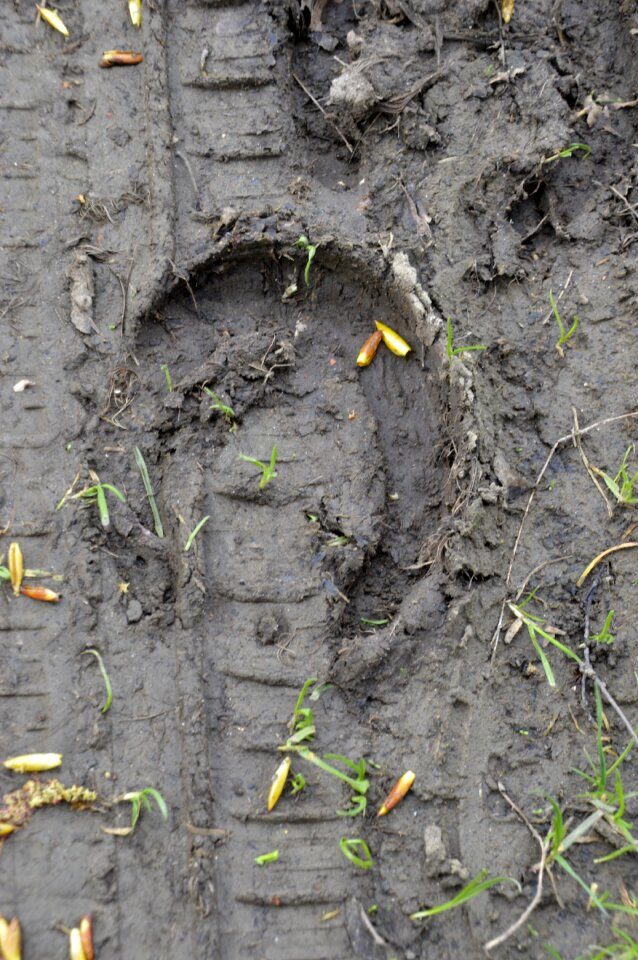 Trace footprint horseshoe