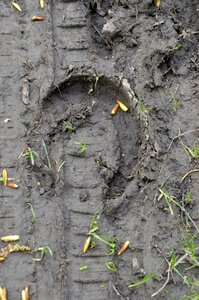 Trace footprint horseshoe