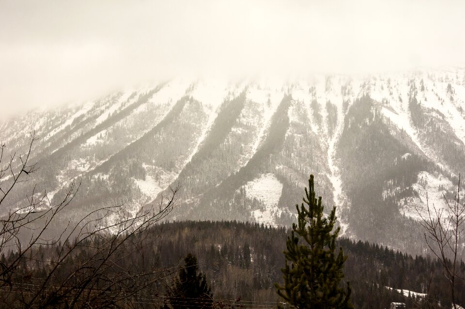 Nature panoramic landscape