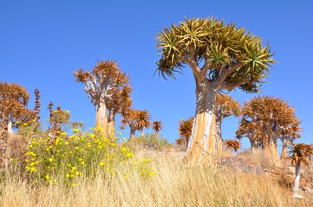 Landscape sky outdoors photo