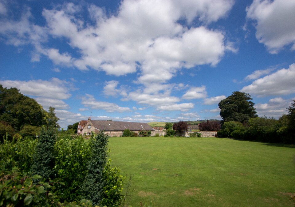 Grass sky landscape