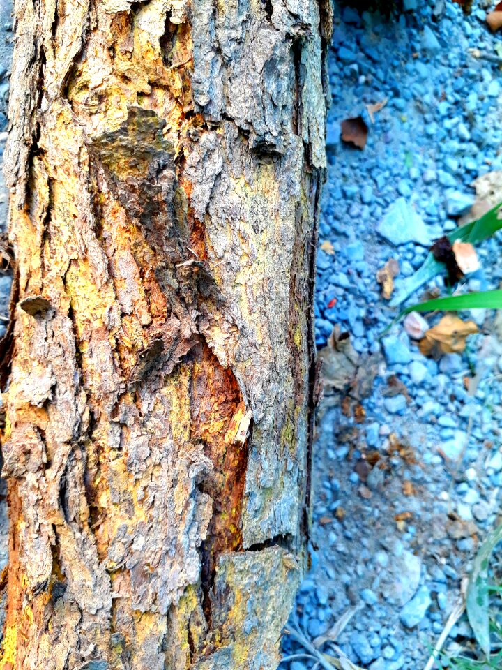 Old desktop earth surface