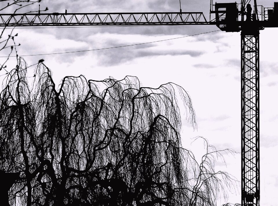 Crane steel large