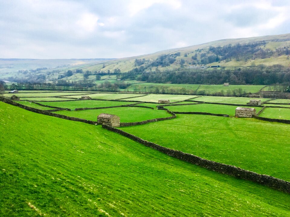 Gunnerside national park green