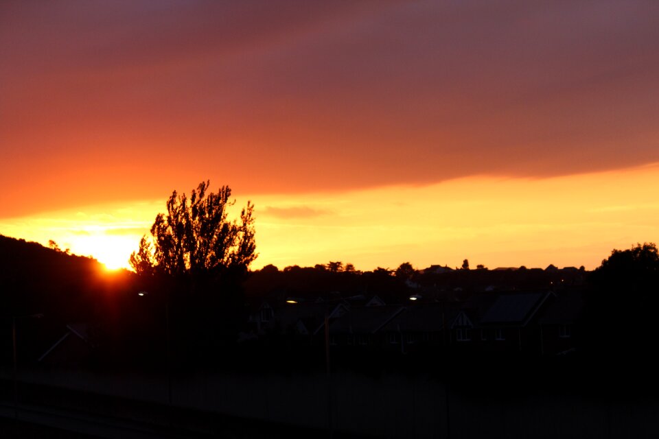 Evening nature urban sunset