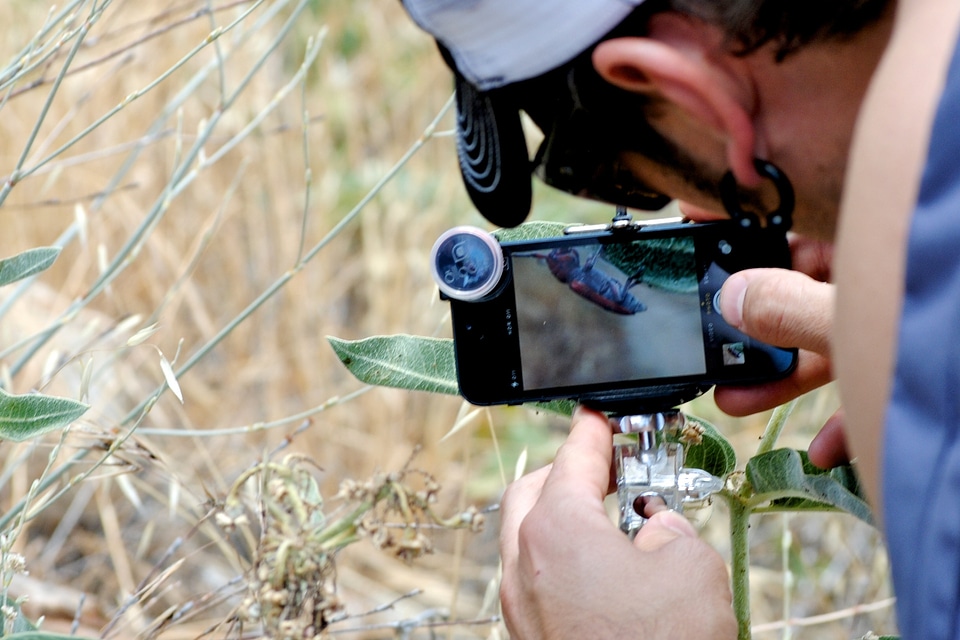 Close-up photography photographer