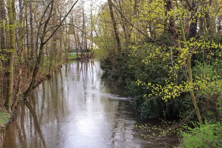 Olomouc nature trees